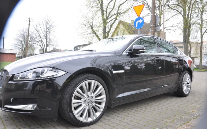 Jaguar XF cena 59900 przebieg: 226000, rok produkcji 2014 z Recz małe 436